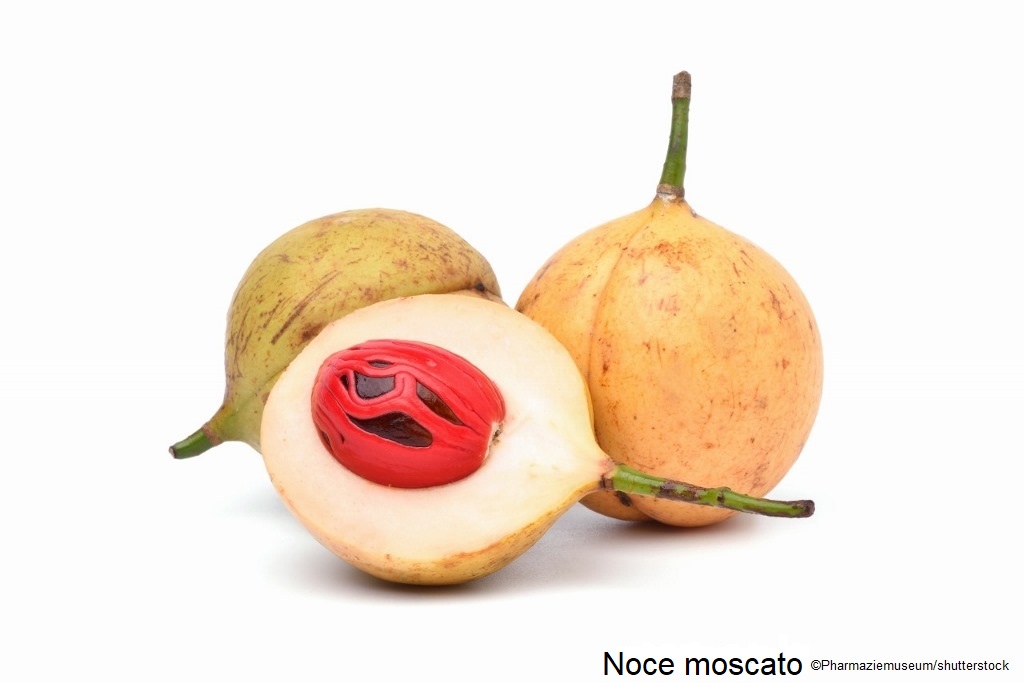 noce moscato